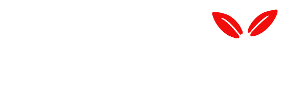 cristiana morsolin psicologa logo